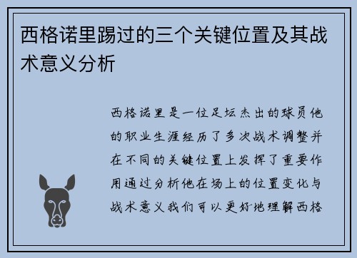 西格诺里踢过的三个关键位置及其战术意义分析 西格诺里踢过的三个关键位置及其战术意义分析