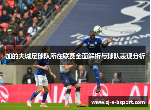 加的夫城足球队所在联赛全面解析与球队表现分析