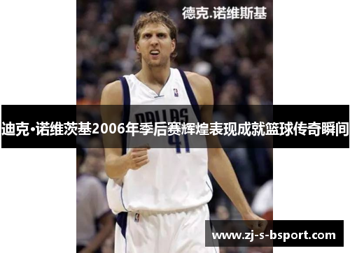 迪克·诺维茨基2006年季后赛辉煌表现成就篮球传奇瞬间