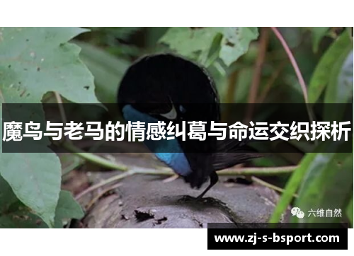 魔鸟与老马的情感纠葛与命运交织探析 魔鸟与老马的情感纠葛与命运交织探析